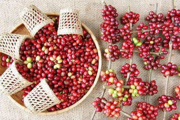 red fresh coffee bean