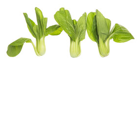 Chinese cabbage or bok choy over white background 