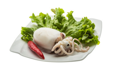 Boiled cuttlefish