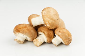 royal mushroom