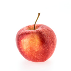 Apple fruit
