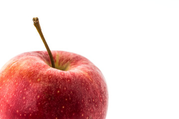 Apple fruit