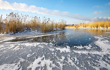 Obraz premium Beautiful winter landscape with frozen lake, reeds and power pla