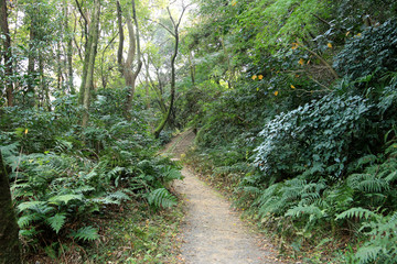 小牧山の散策路