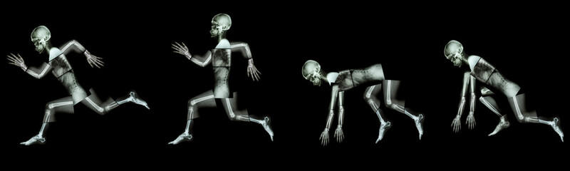 Fototapeta na wymiar human bone is running. (step of run a race),(Whole body)