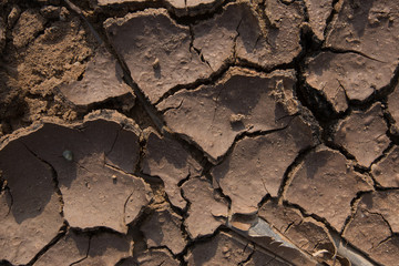 cracked earth