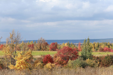 autumn landscape
