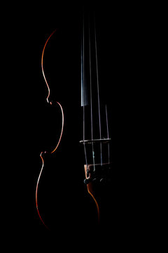 Violin strings musical instruments