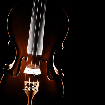 Violin orchestra musical instruments