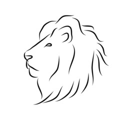 lion