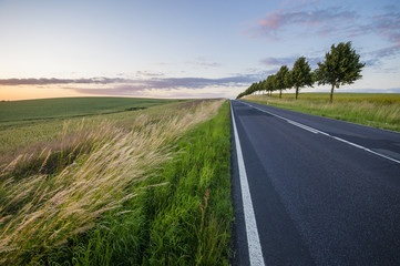 wiejska droga wiodąca przez pola