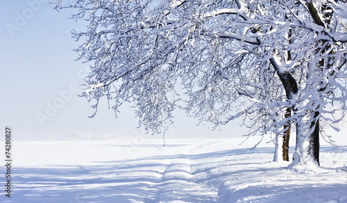 winter morning paragraph winter morning paragraph