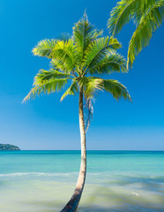 Fototapeta na wymiar Beautiful Beach Exotic Paradise