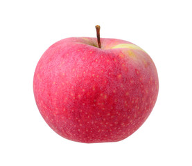 Red ripe apple on white background