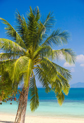 Beautiful Beach Relaxation In Peace