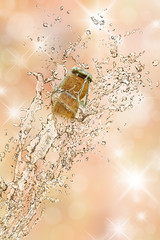 Sekt 53