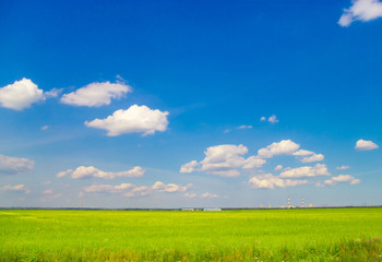 Fototapeta premium Heavens Scene Wallpaper