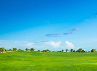 Lonesome Acres Of Green