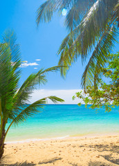Fototapeta na wymiar Coconut Getaway Island Lagoon
