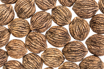 black walnuts in shells