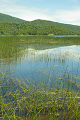 Laguna Malleco in Tolhuaca National Park. Chile