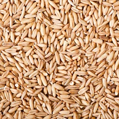 Foto op Canvas oat grains background © TADDEUS