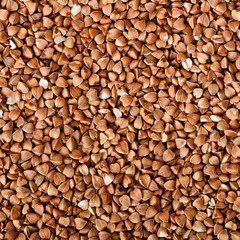 buckwheat grains background