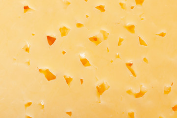 background cheese