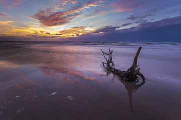 konar wyrzucony przez fale morskie na plażę