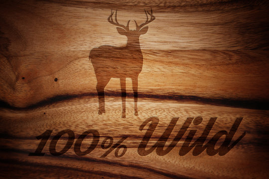 Wildfleisch