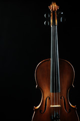 Violin orchestra musical instruments