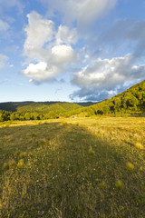 Obraz premium Conguillio Park, Chile