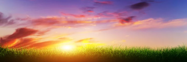 Gordijnen Green grass on sunset sunny sky. Panorama, banner © Photocreo Bednarek