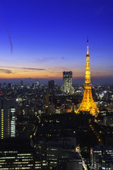 Obraz premium Tokyo Tower, Tokyo, Japan