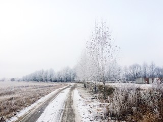 Obraz na płótnie Canvas прогулка в зимний лес 