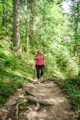Fototapeta premium Female Hiker in a Forest