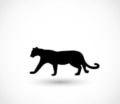 Puma icon vector