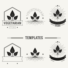Vintage insignias and logotypes set.