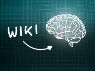 Wiki brain background knowledge science blackboard turquoise