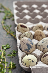 Quail eggs in the cardboard packing on the grey table