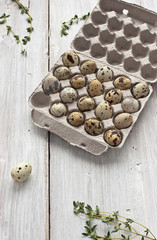 Quail eggs in the cardboard packing on the white table