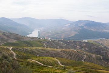 Douro Valley