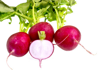Fresh Red Radish
