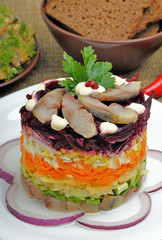 Russian traditional herring salad