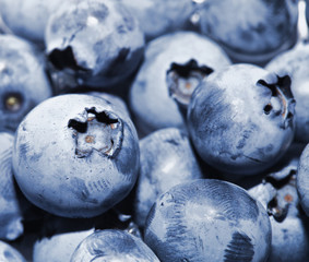 Fresh group of ripe blueberries