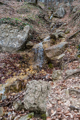 Small mountain stream