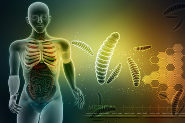 woman female human body with bacteria