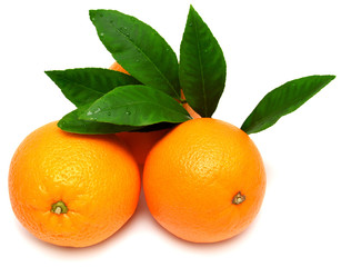 Sweet orange fruit