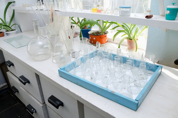 Test tubes and flasks in the chemical laboratory