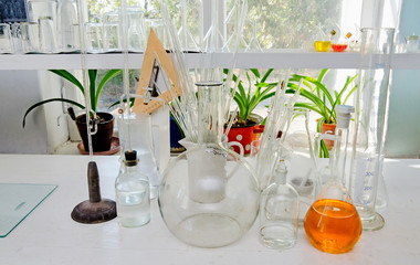Test tubes and flasks in the chemical laboratory